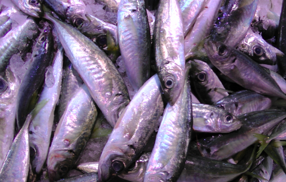 tote Fische auf dem Markt