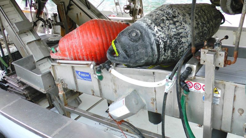 Fischerboot in Rimini