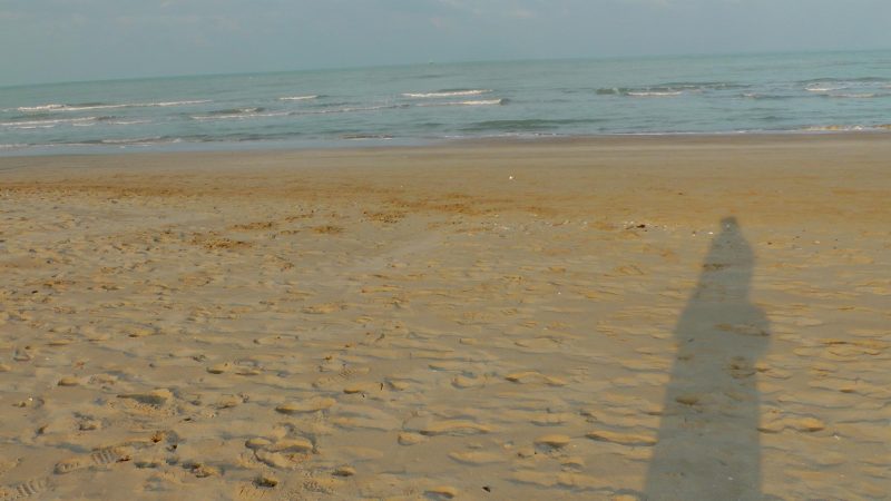 Christine Neder am Meer