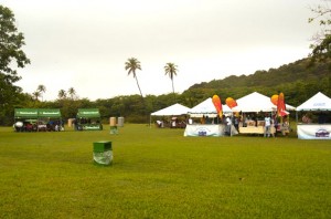 Coconut-Bay-Jazz-Festival