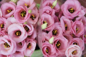 Blumen