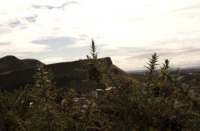 schottland-landscape