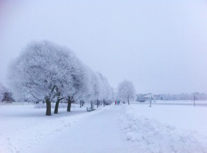 Winterlandschaft-Finnland