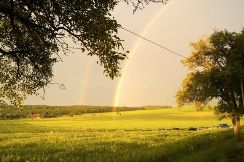 Regenbogen