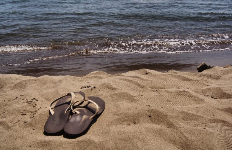 Strand-Sarigerme