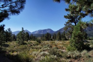 Yosemite-National-Park-Landschaft