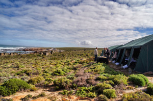 Campingplatz-Namaqualand National Park-Südafrika