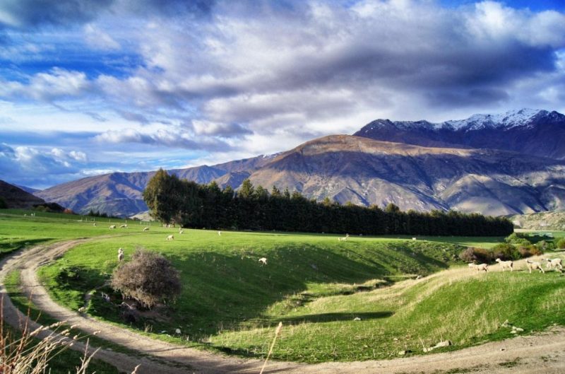 Neuseeland-Natur