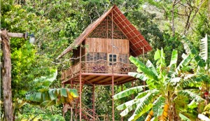 Luxus-Dschungel-Airbnb