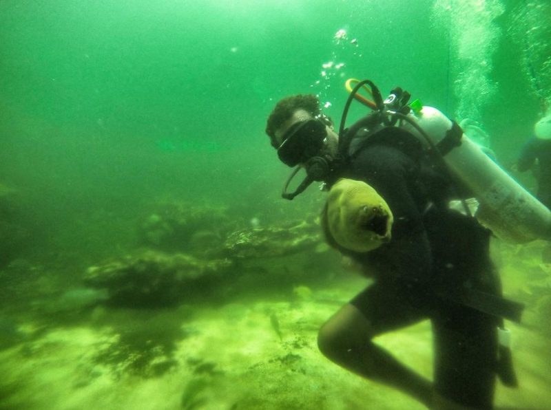 Sea-Tek