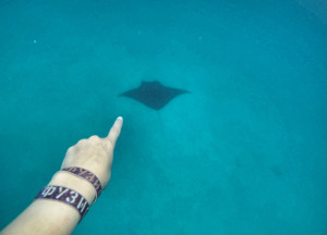 Manta-Maafushivaru