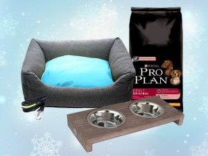 PRO PLAN Grafik Lilies Diary