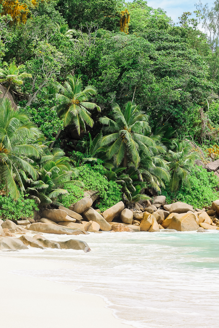 seychellen strand anse