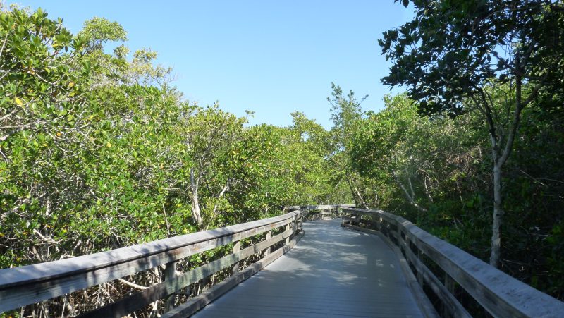 Clam Pass County Park Boardwalk