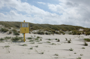gelbe Box am Strand