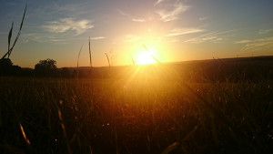 tollsten-Sonnenuntergänge-der-Welt_Nessa_Deutschland02