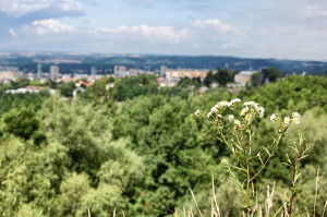 Urlaub-in-Ostrava_Blick-vom-Vulkan-mit-Blume