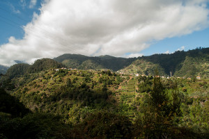 Madeira_Terrassen