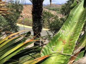 Gran-Canaria_P+C