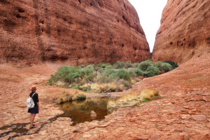 Walpa-Gorge