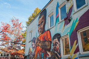 Toronto_Streetart_Elicser_Indigo