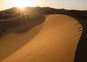 Sonnenaufgang_in_der_Wüste