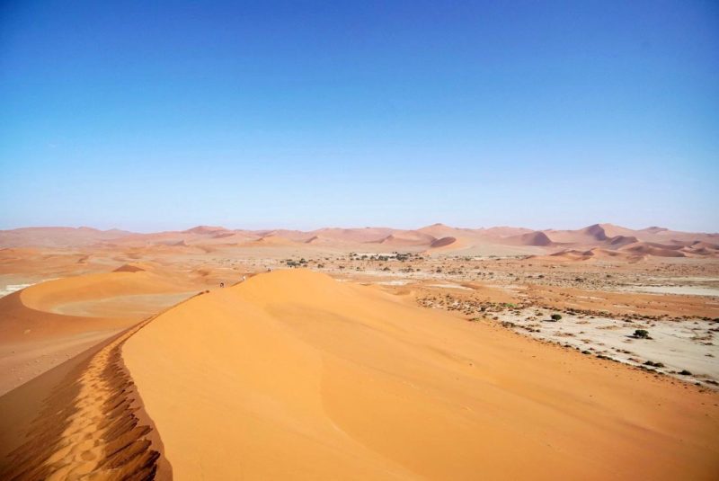 Big-Daddy-Namibia