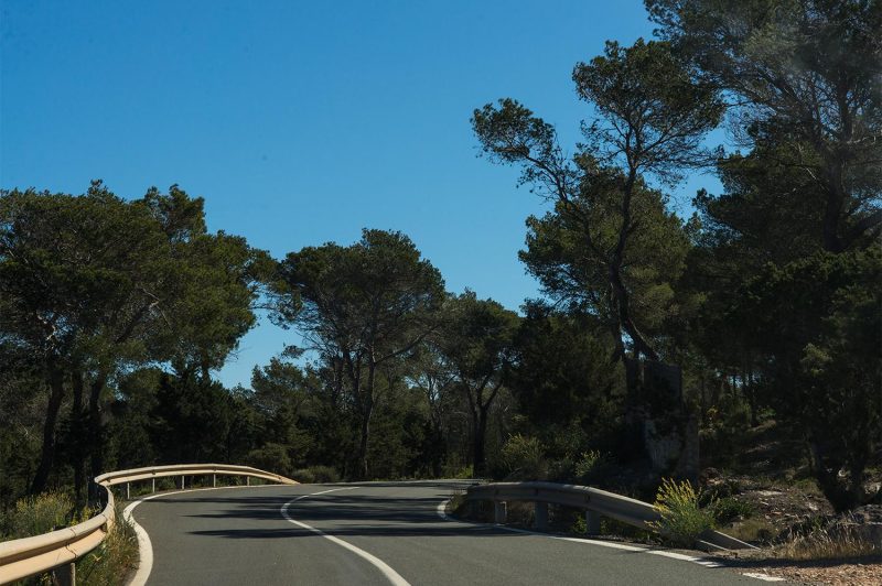 formentera_kurven_wälder