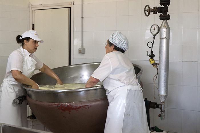 pecorino_produktion_sardinien