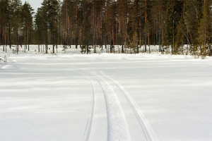 snowmobile_tracks_wälder_svansele
