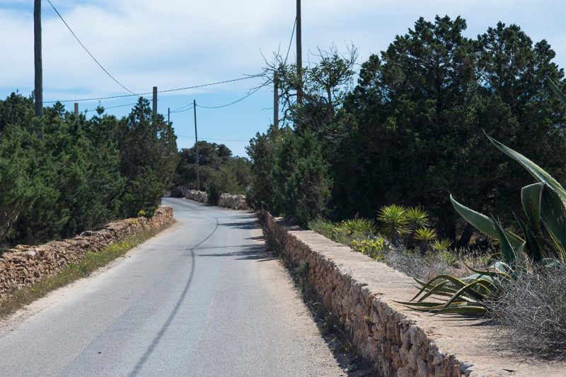 straße_formentera_wanderweg