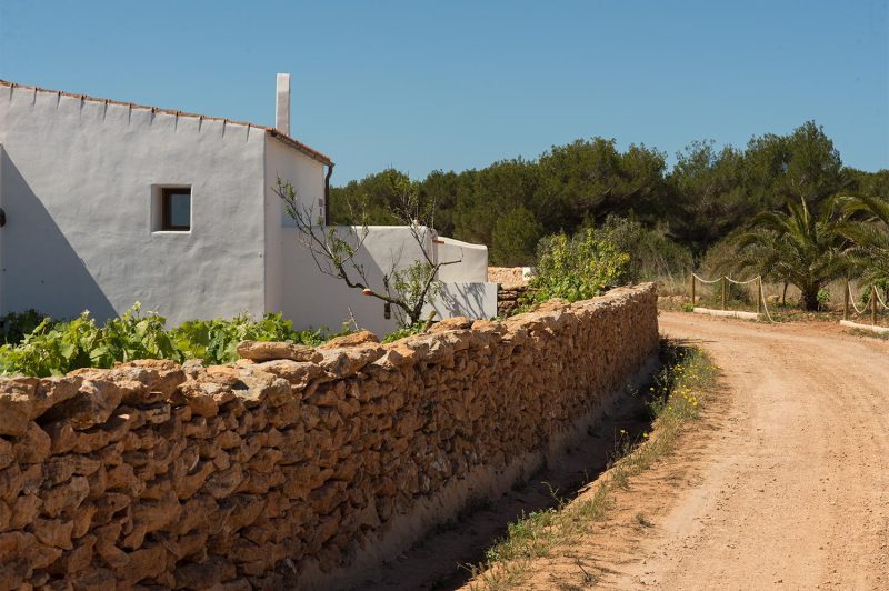 trockenmauer_landhaus_formentera