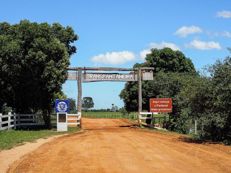 Naturparadies Pantanal