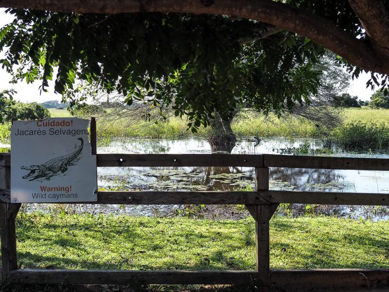 Naturparadies Pantanal