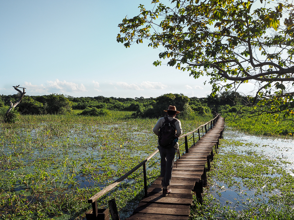 Naturparadies Pantanal