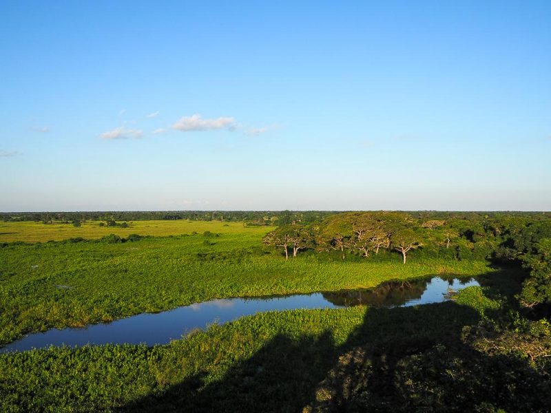 Naturparadies Pantanal