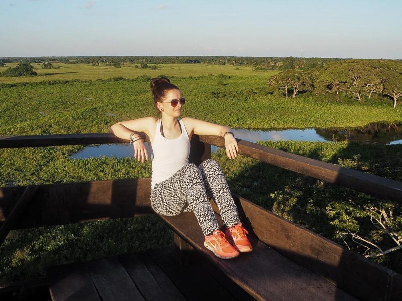 Naturparadies Pantanal