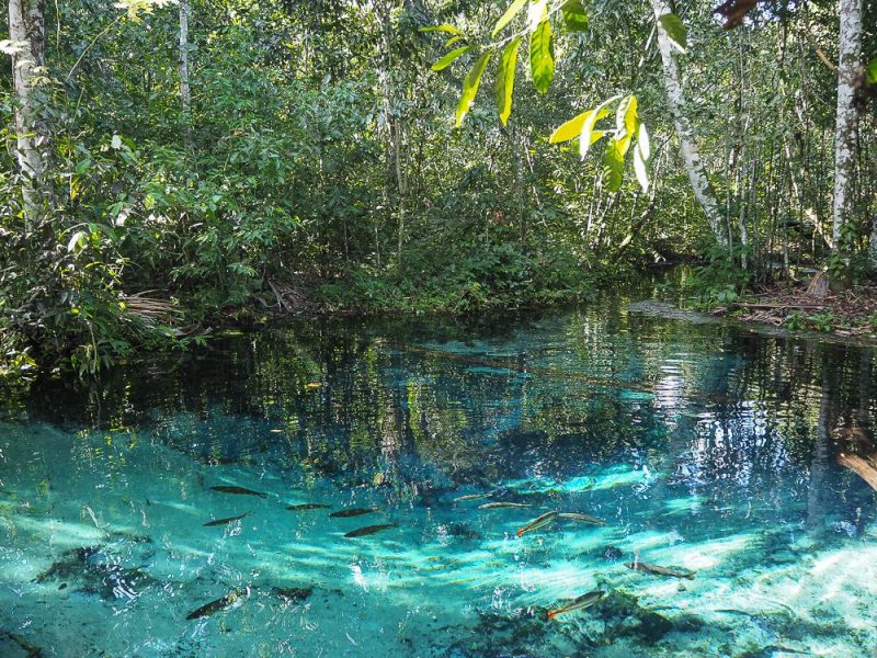 Schnorcheln in Brasilien