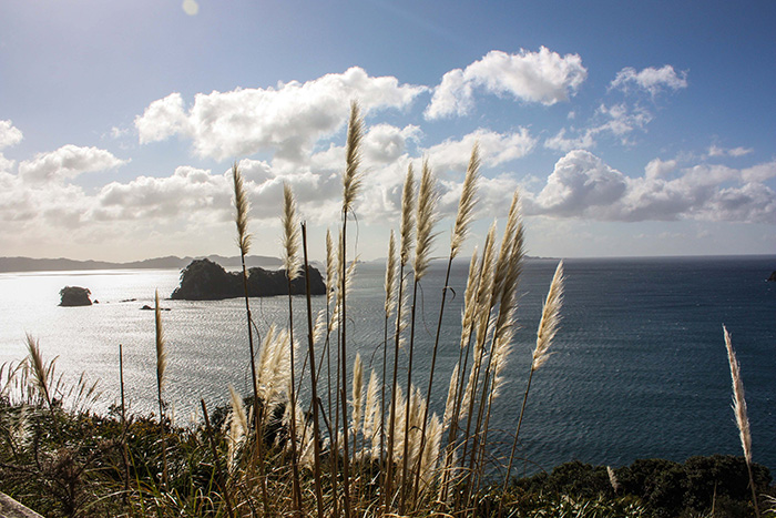 7.1-cathedral-cove