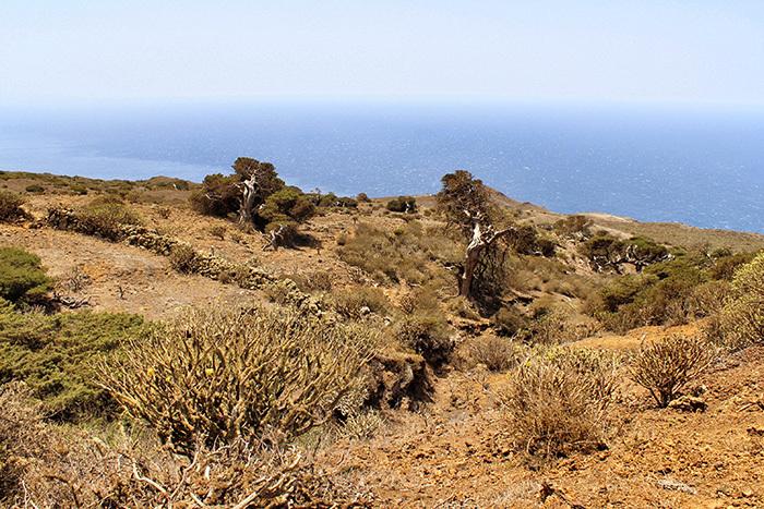 el-sabinar-naturspektakel-el-hierro