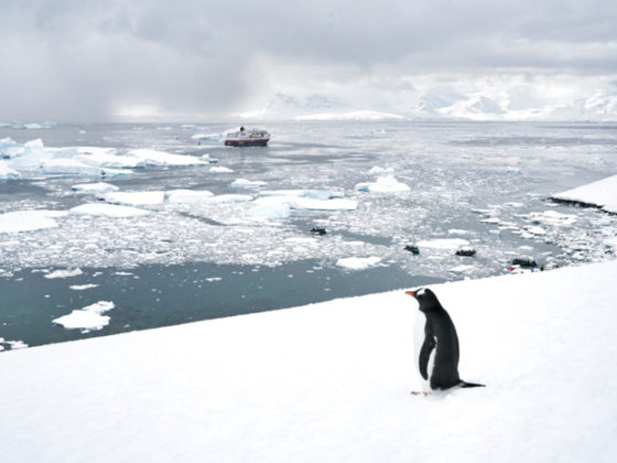 antarktis-anladnung