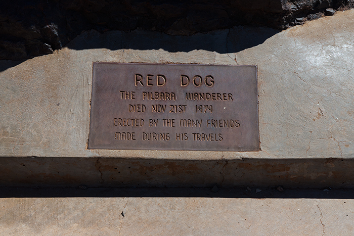 westaustralien-red-dog-pilbara-wanderer
