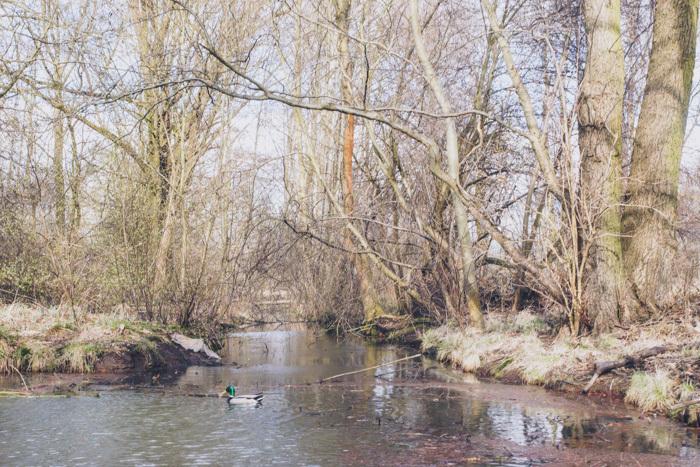 Spreewald Urwald