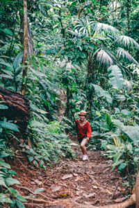 Dschungel-Costa-Rica