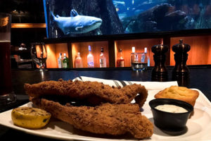 Catfish im Skyrestaurant Memphis
