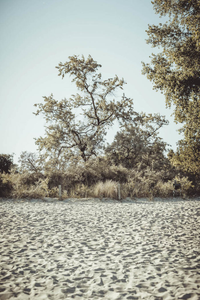 Strand in Pelzerhaken