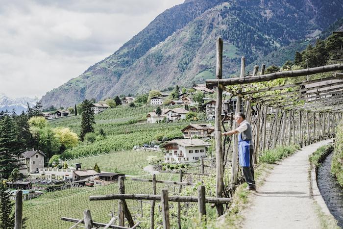 Weinberge Algunder Waalweg