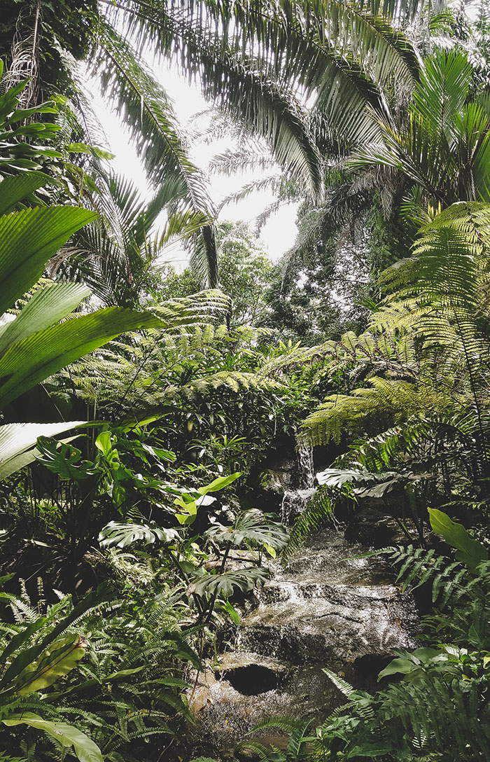 Exotische Natur im Botanischen Garten