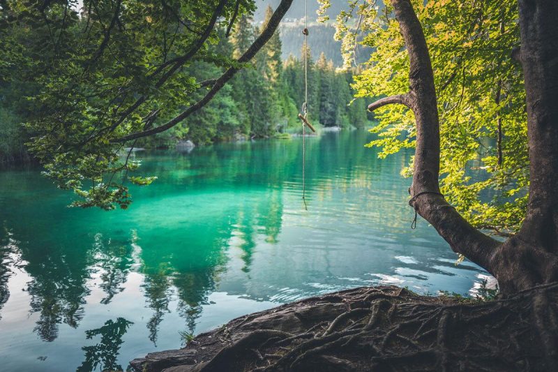 Seilschschaukel am Crestasee