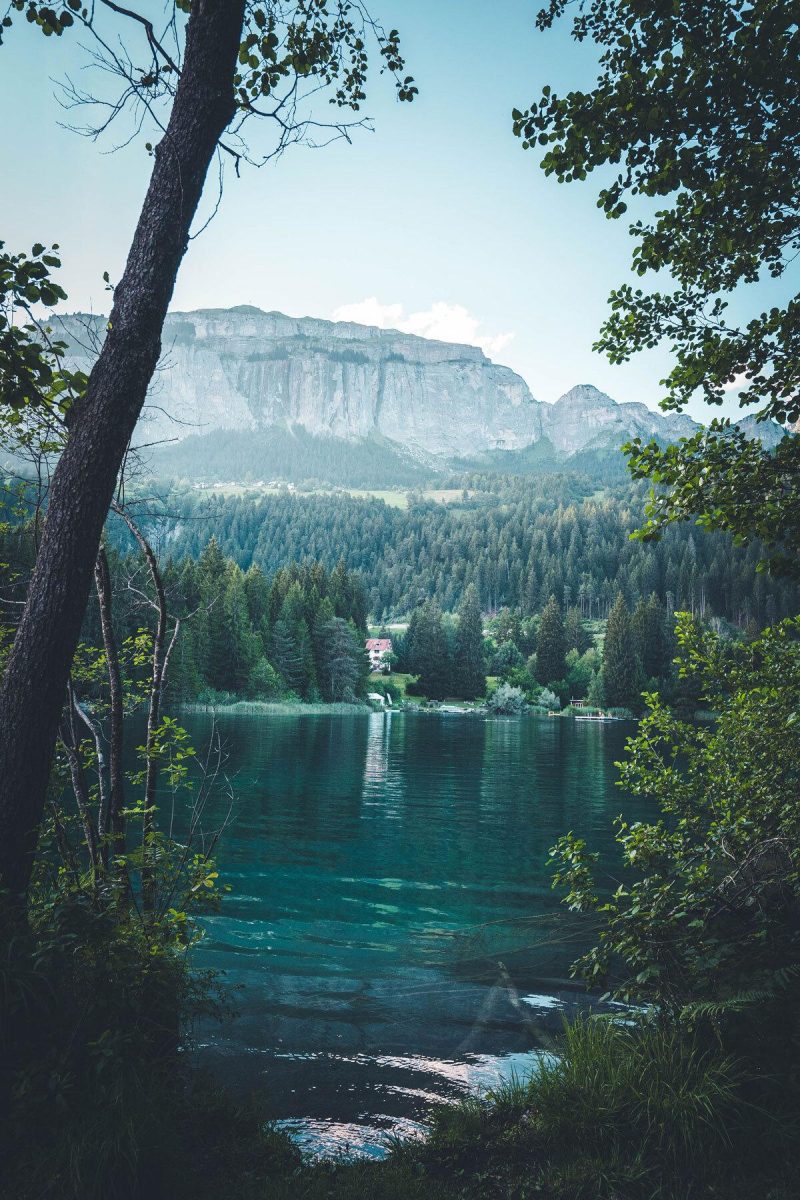 Blick auf den Flimserstein